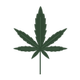 Image for article titled The most important companies in weed